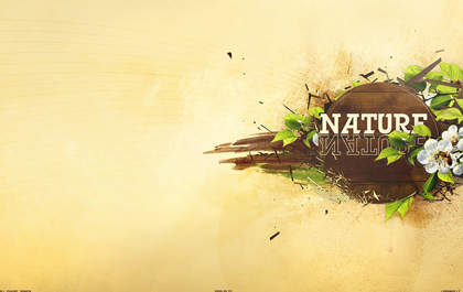 安卓ddos攻击工具